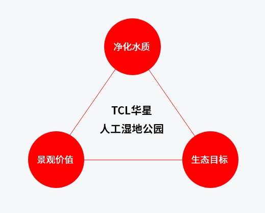 TCL华星人工湿地公园